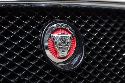 車標(biāo)上的動(dòng)物都是啥來頭？看完又能出去裝X了